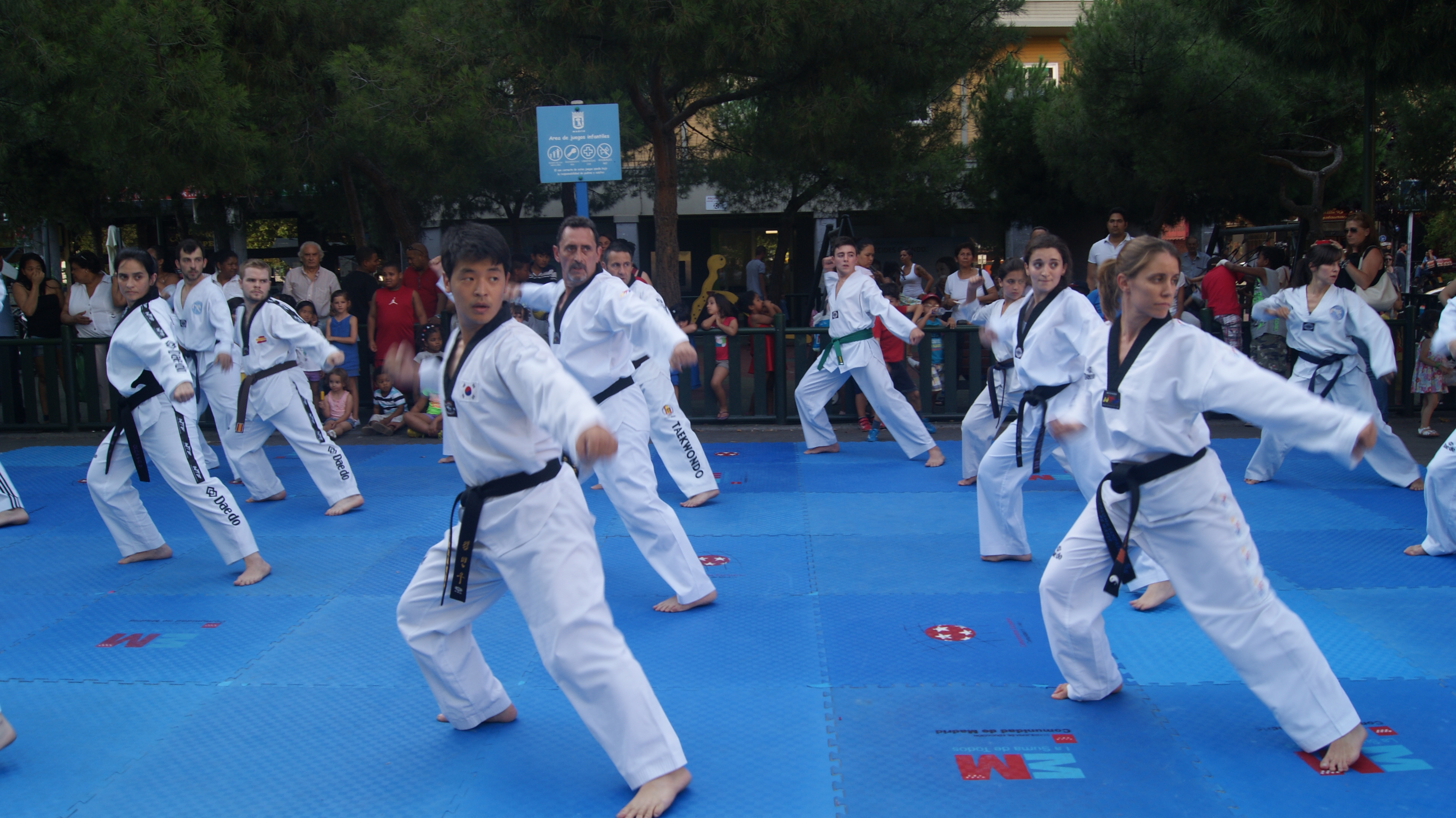 Exhibición Taekwondo