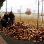 Campaña de recogida de hojas en toda la ciudad