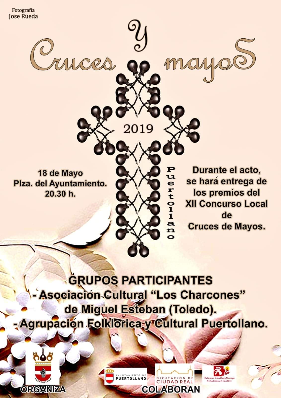 Festival Cruces de Mayo