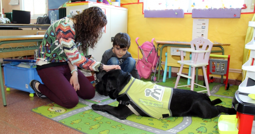 El colegio Calderón de la Barca es el primer colegio con intervención de un perro con alumnos de espectro autista